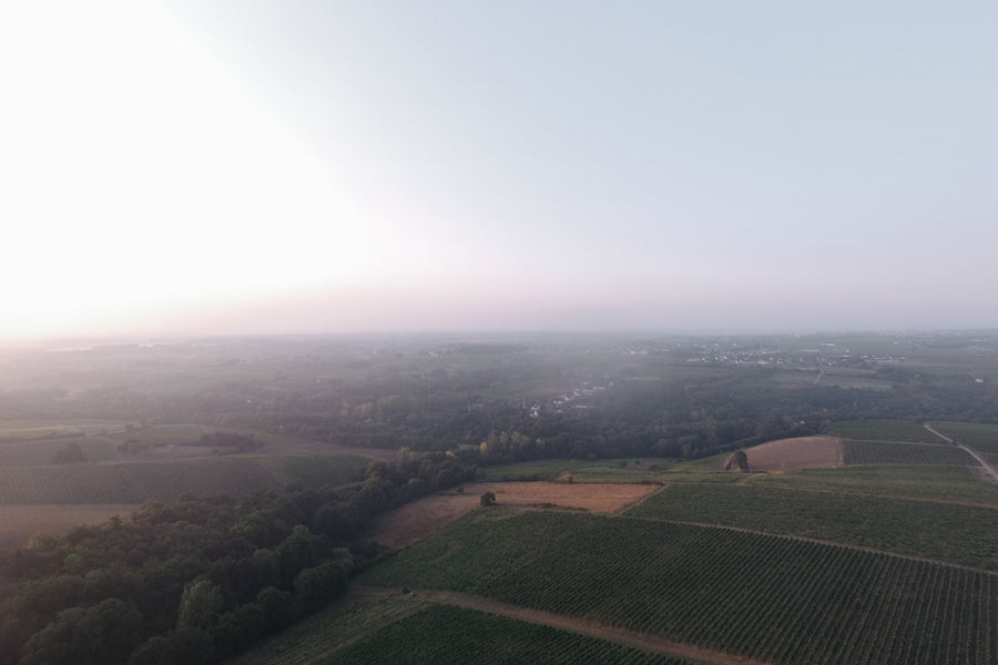 chateau de plaisance