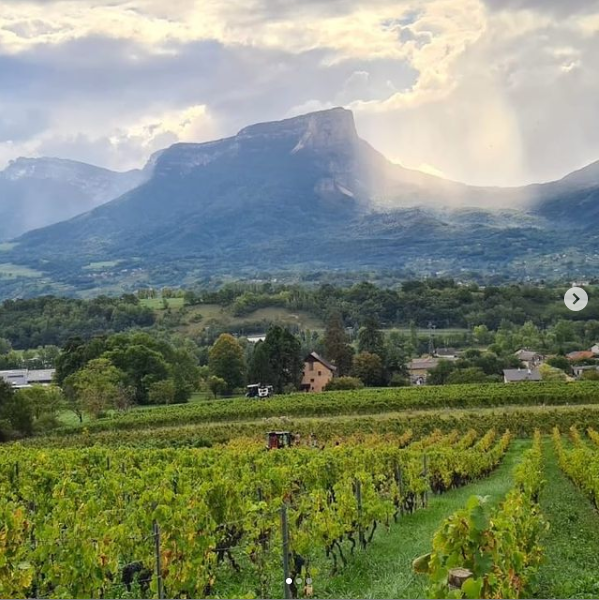 Domaine Denis and Didier Berthelier