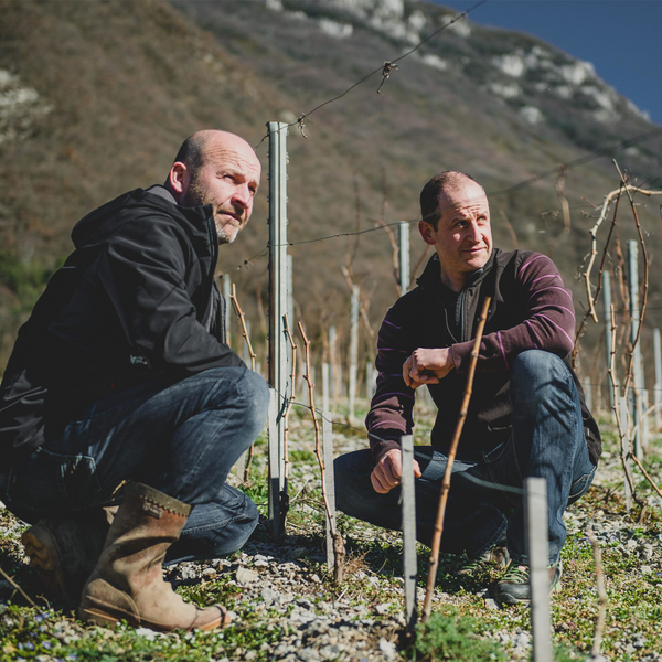 Domaine Denis and Didier Berthelier