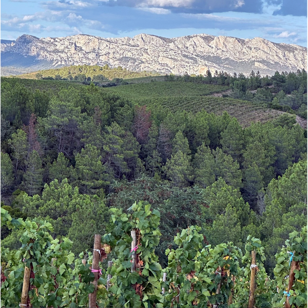 Domaine du Clos des Fées
