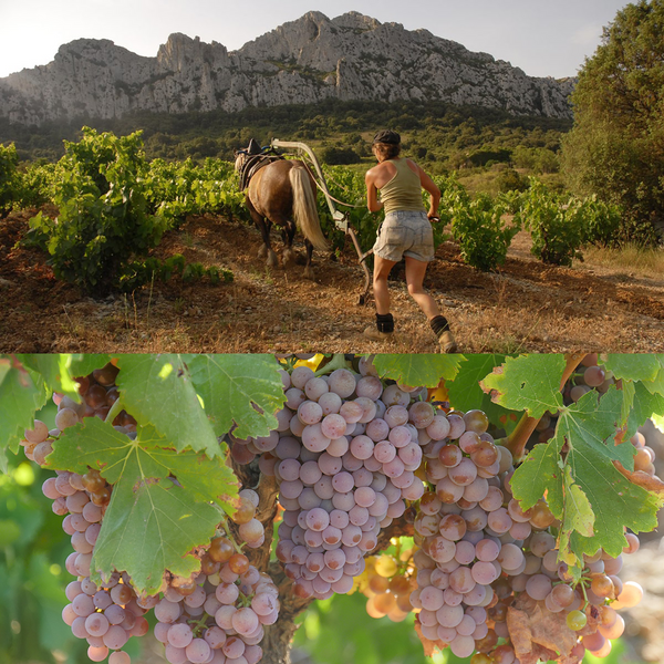 Domaine du Clos des Fées