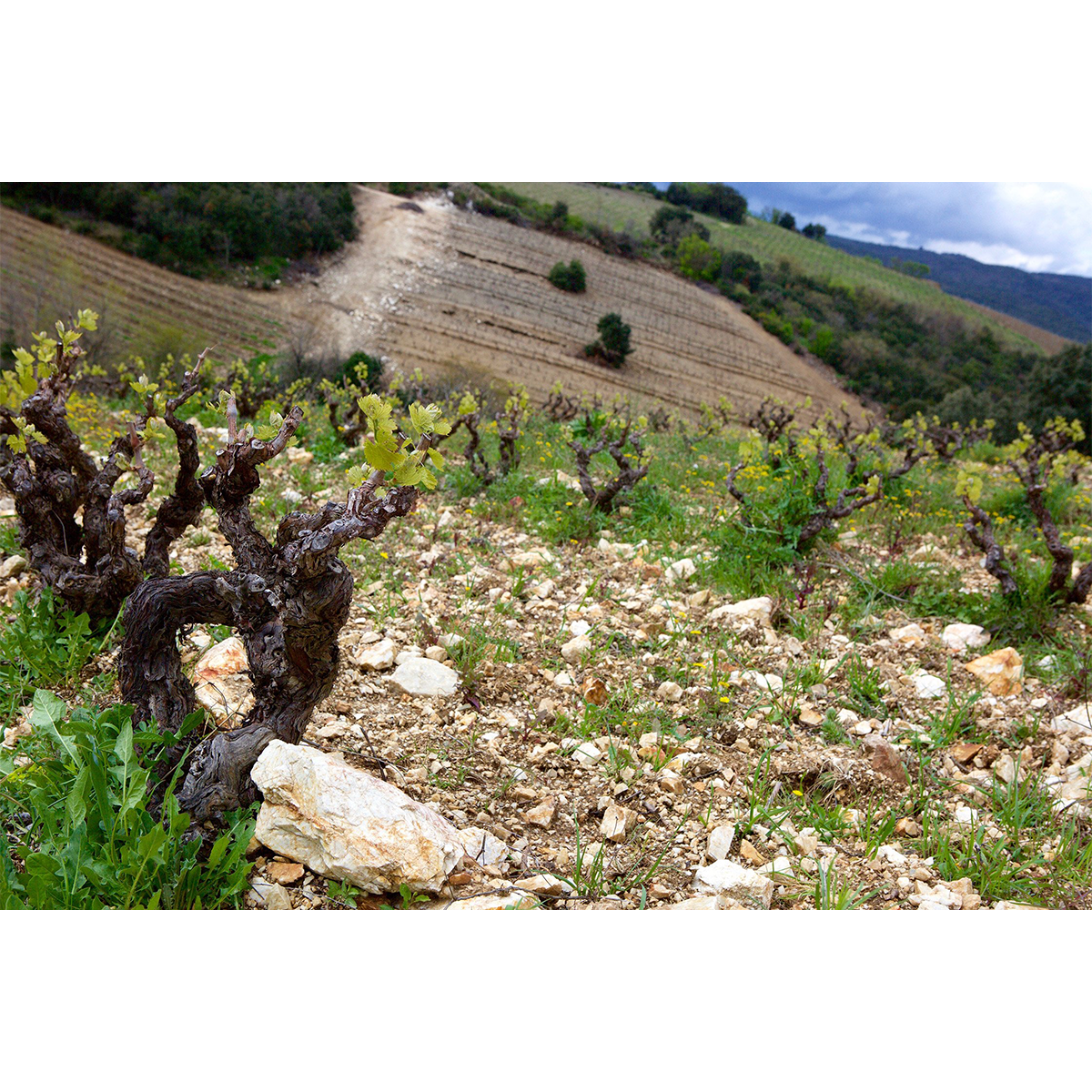 Les Terres de Fagayra