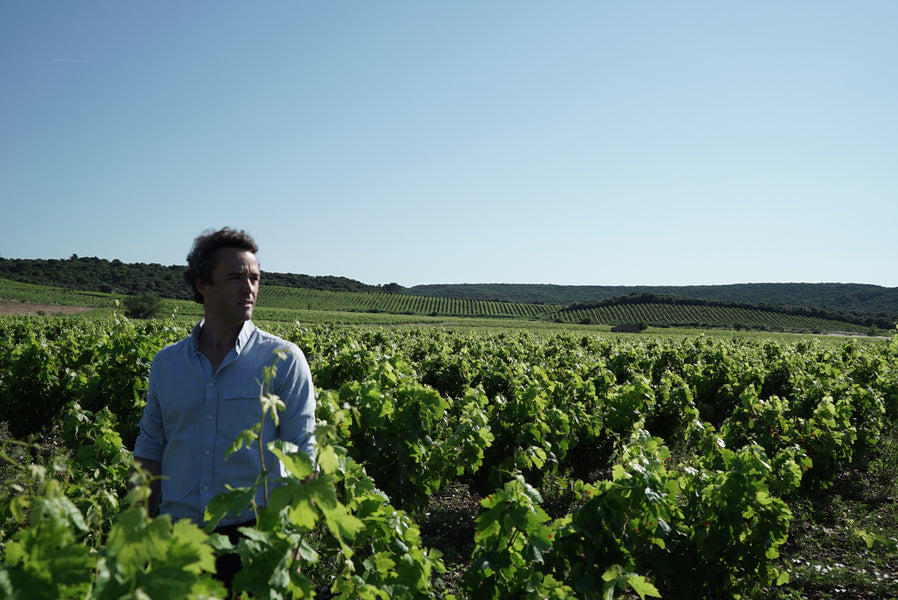 Domaine Montrose