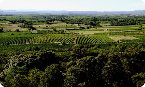 Domaine Montrose