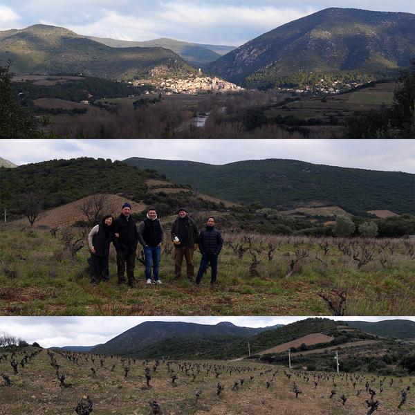 Domaine Thierry Navarre