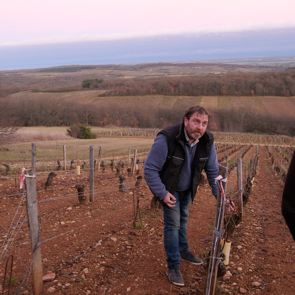 Domaine Guillot-Broux
