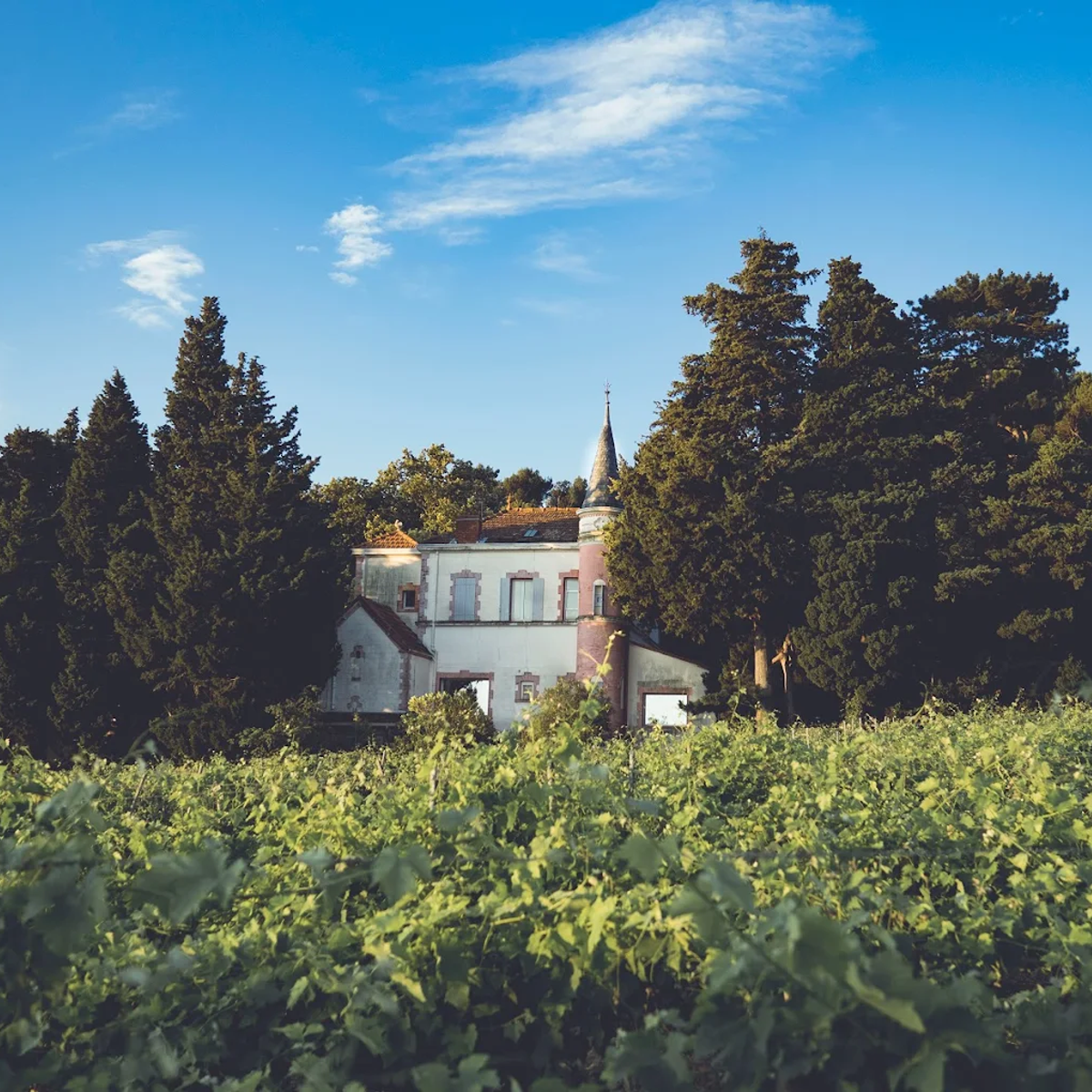 Château de la Font du Loup