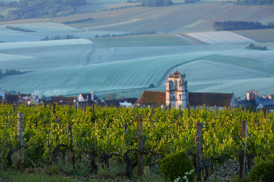Domaine Goizot
