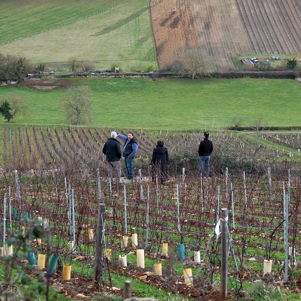 Domaine Guillot-Broux