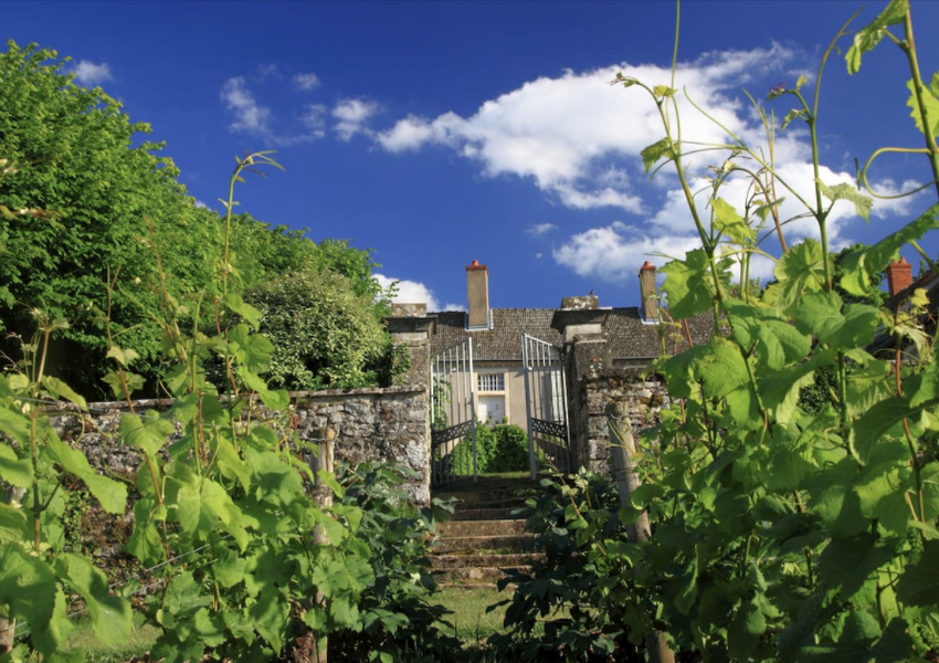 Domaine de l'Evêche
