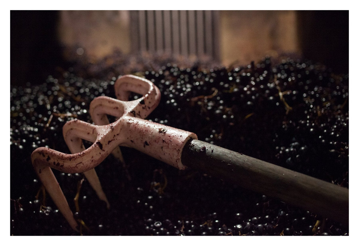 Domaine Olivier Pithon