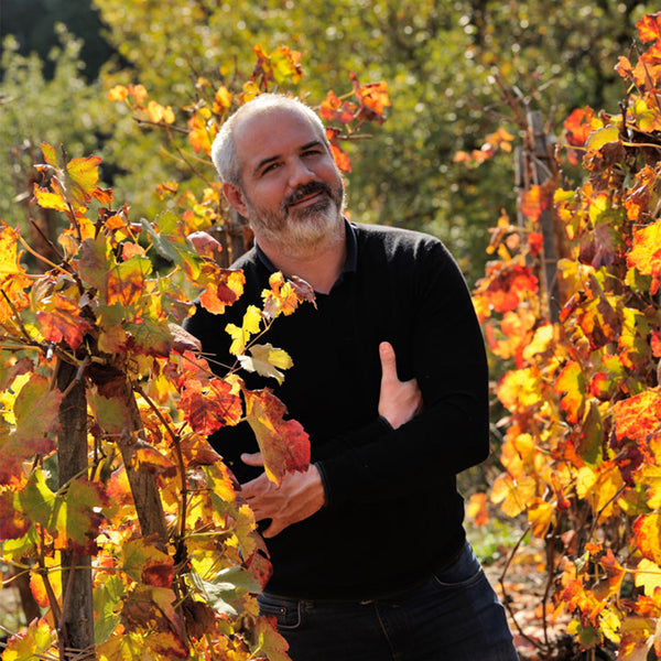 Domaine Julien Pilon
