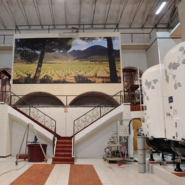 Bodegas del Rosario