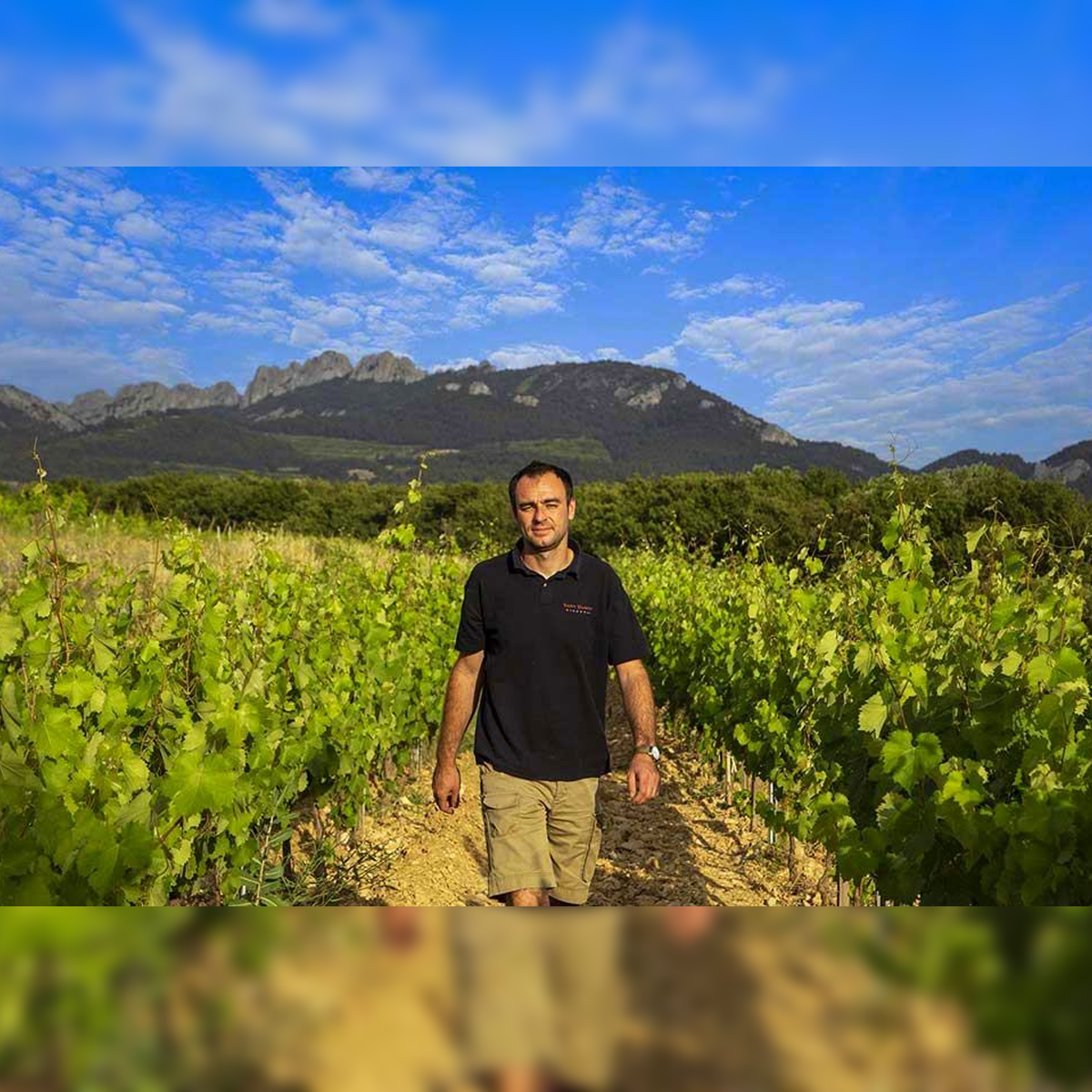 Domaine Saint Damien