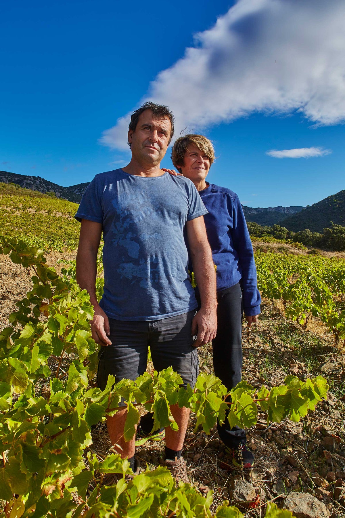 Domaine des Soulanes
