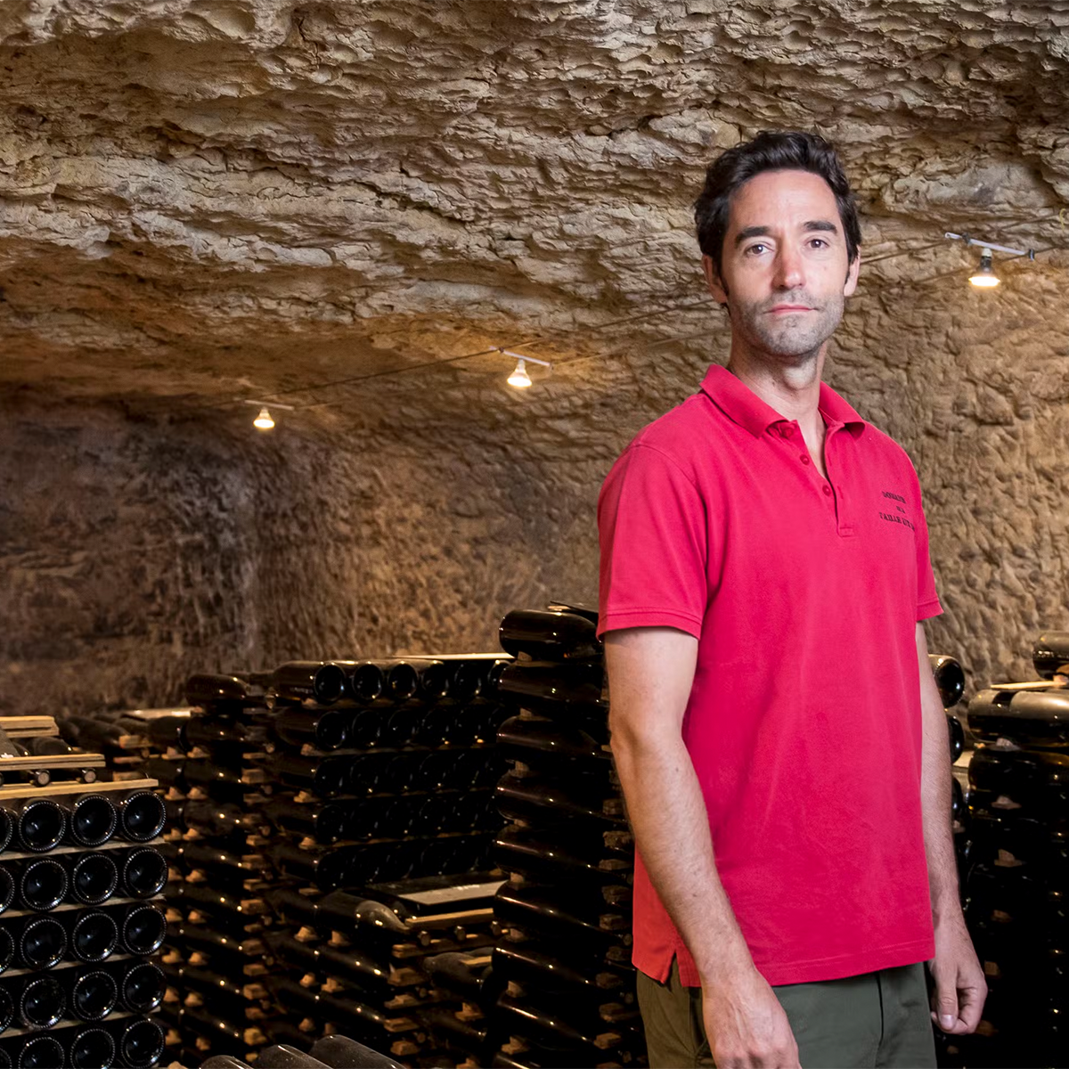 Domaine de la Taille aux Loups