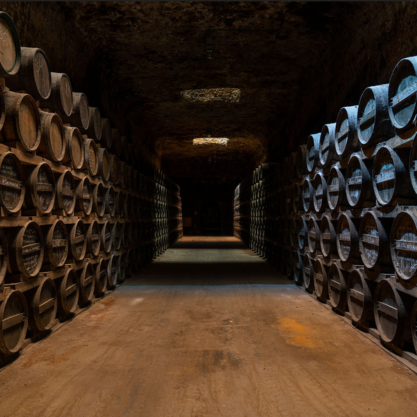 Bodegas y Viñedos Verum