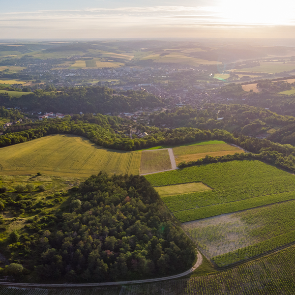Domaine L&C Poitou