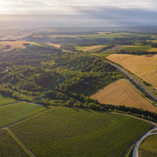Domaine L&C Poitou