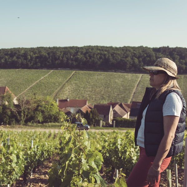 Domaine L&C Poitou