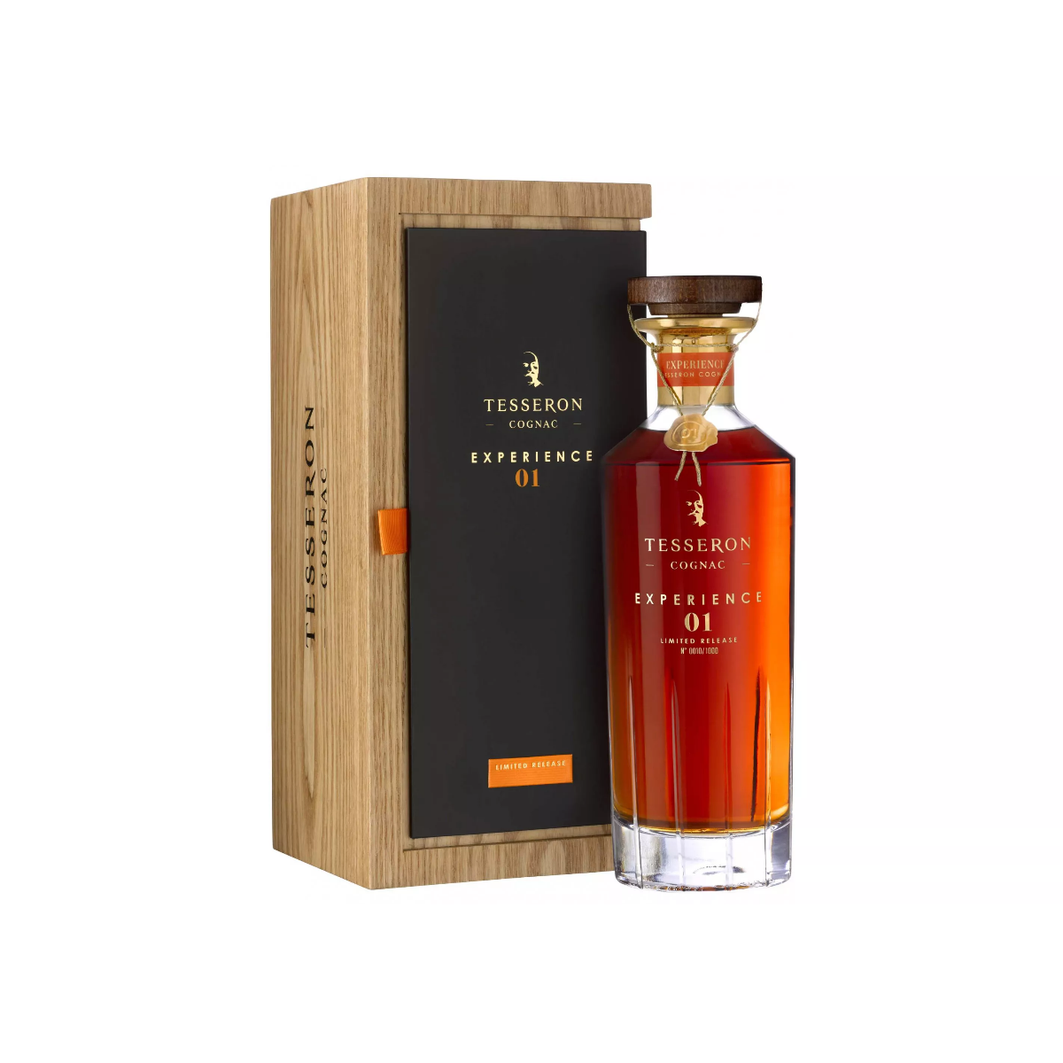 エクスペリエンス 01　テスロン