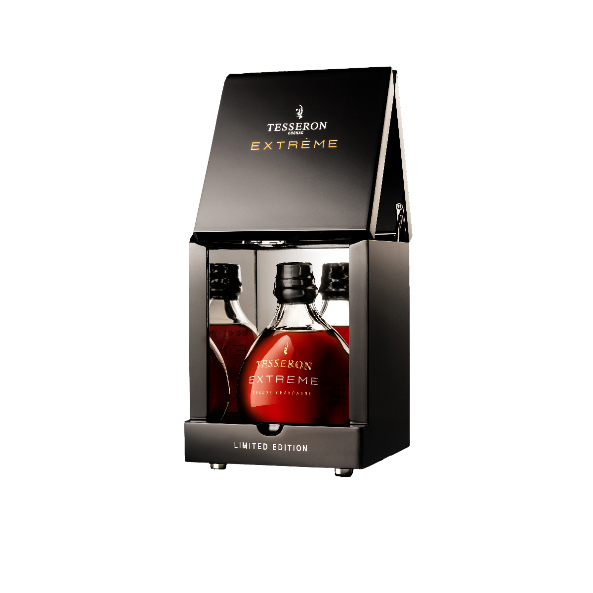 エクストリーム　テスロン