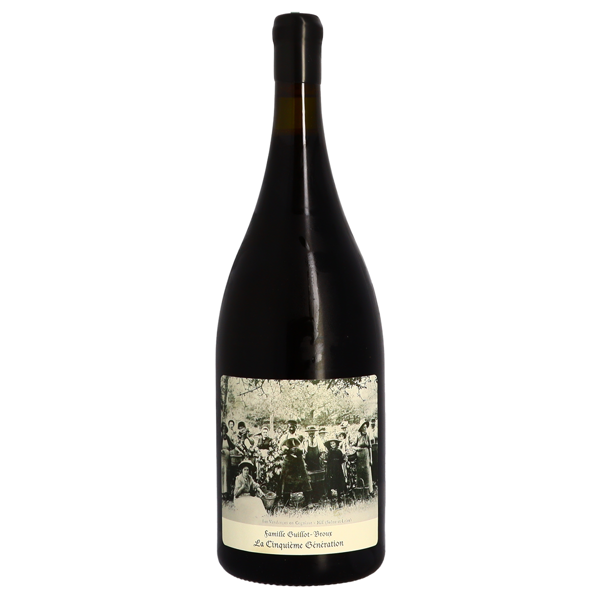 Macon Cinq-Gés (Magnum) 2020 Domaine Guyot-Bre