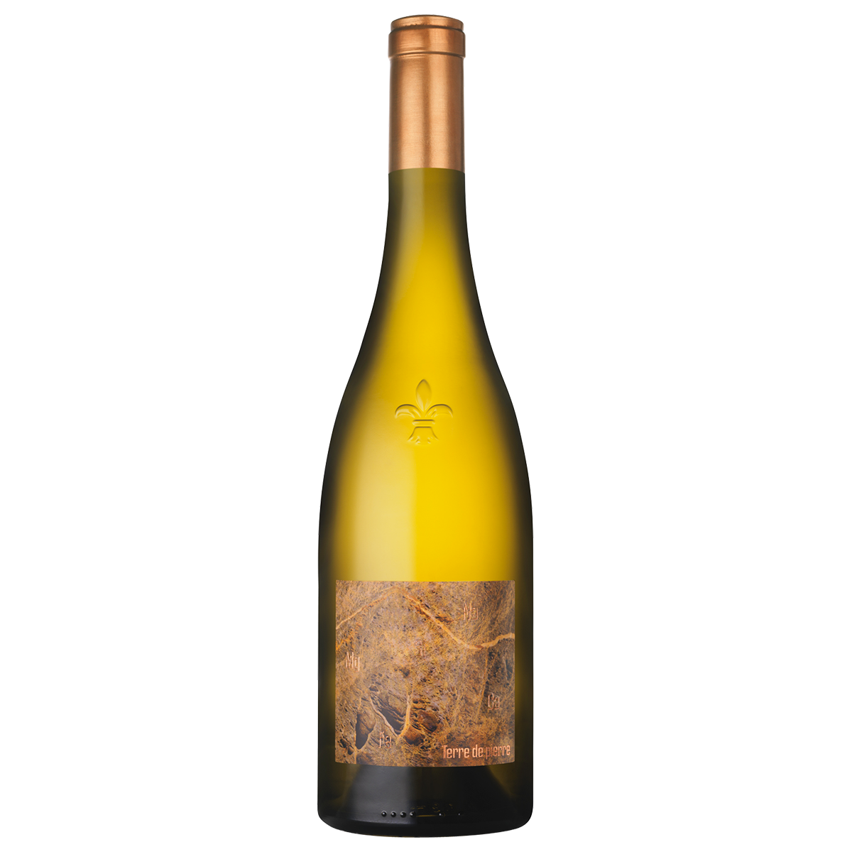 Muscadet Sèvre et Maine Terres de Pierres 2010 Domaine Luneau-Papin