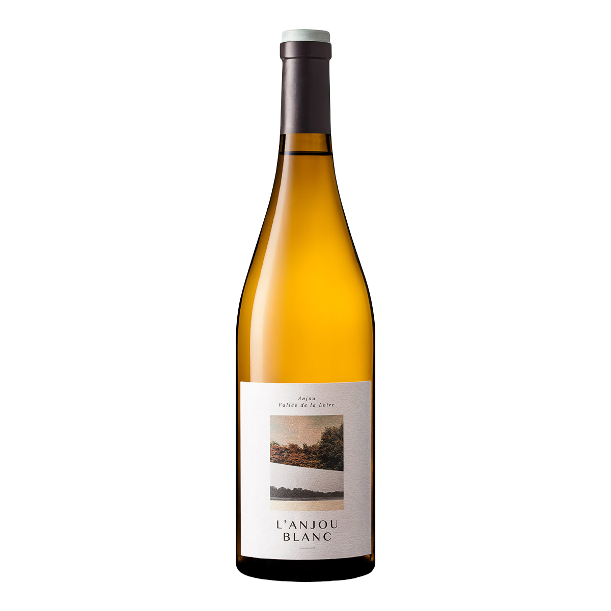 ランジュ・ブラン 2022 シャトー・ド・プレザンス