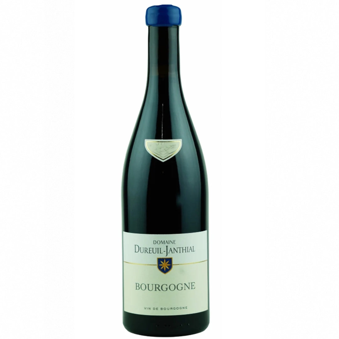 Bourgogne Pinot Noir 2019 Domaine Dureuil-Janthial