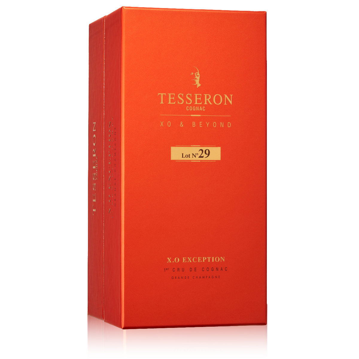 ロットナンバー29 XO エクセプション　テスロン