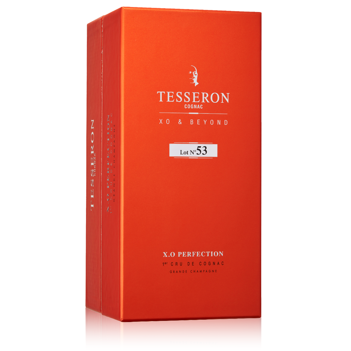 ロットナンバー53 XO パーフェクション　テスロン