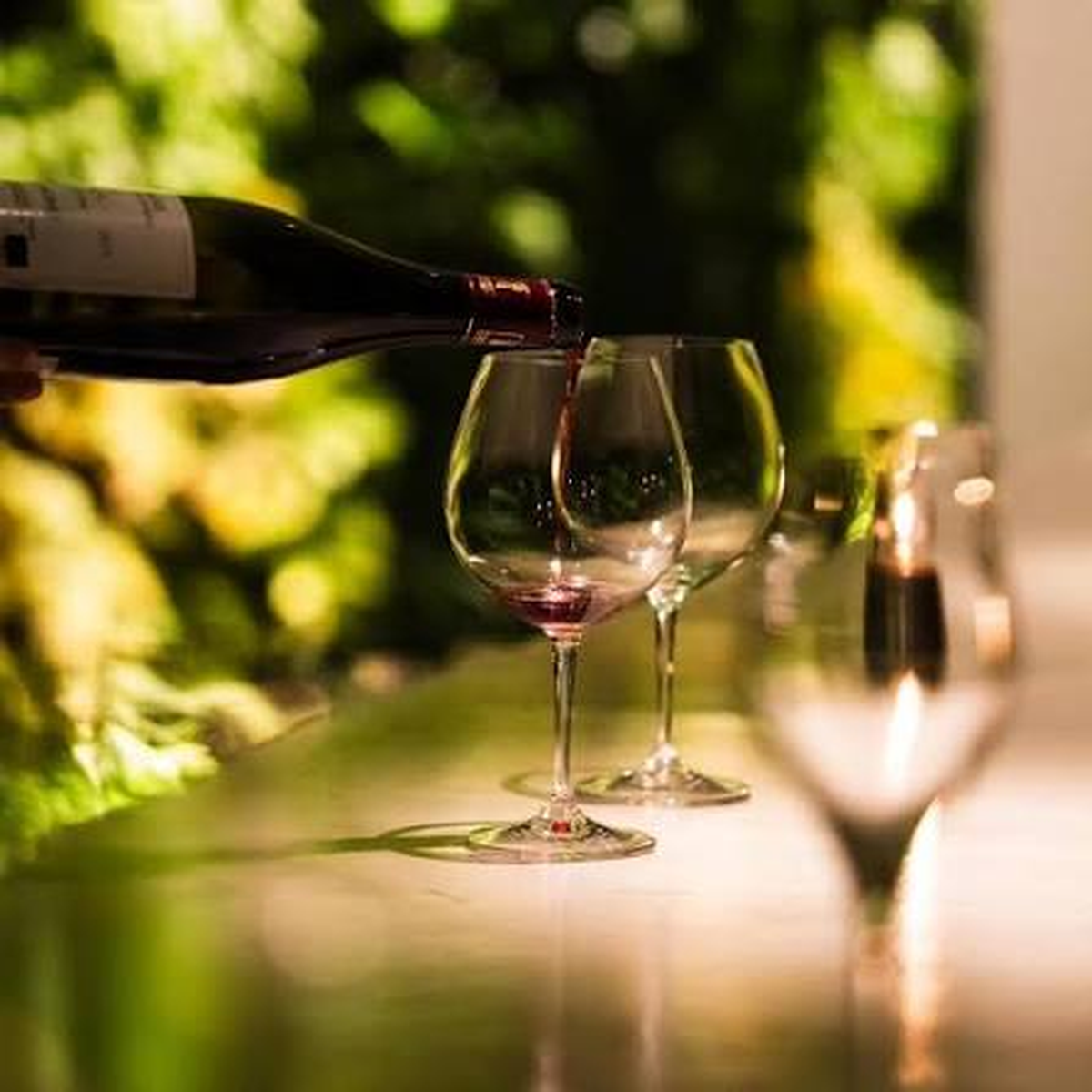 [Dinner] An Evening of Free-Flow Wine & Buffet: Approximately 40 Wines to Enjoy